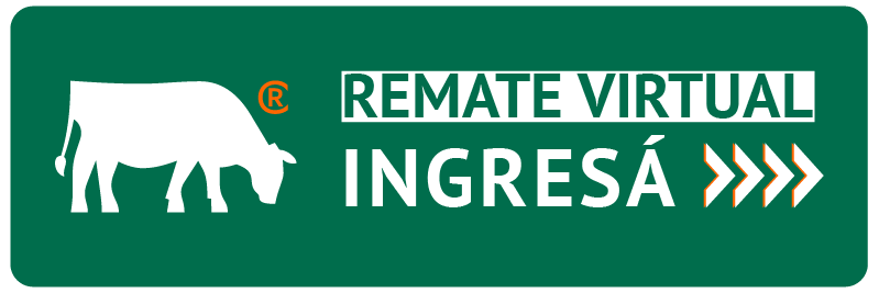 Remate Digitál